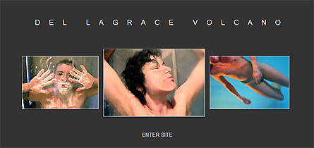 Del LaGrace Volcano's website 2009