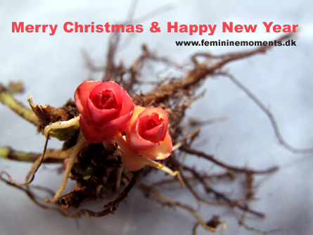 Christmas Greetings