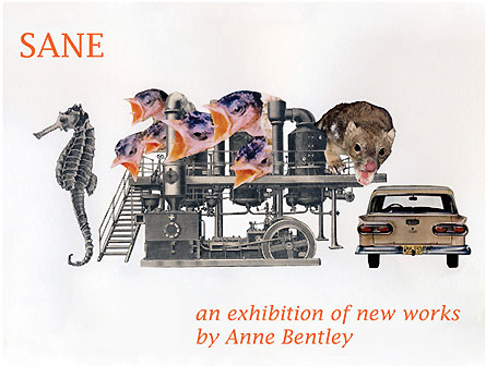 The SANE exhibition poster by Anne Bentley