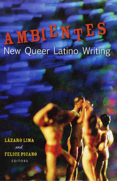 Cover image by María DeGuzmán, published by The University of Wisconsin Press 2011