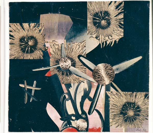 Synthetische Blumen by Hannah Höch