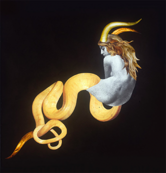Copyright Deborah Kelly