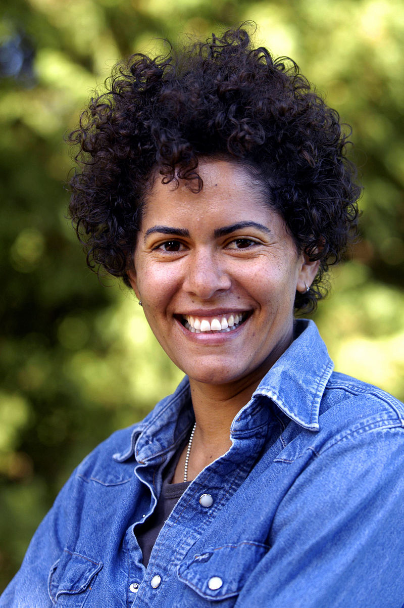 Julie Mehretu