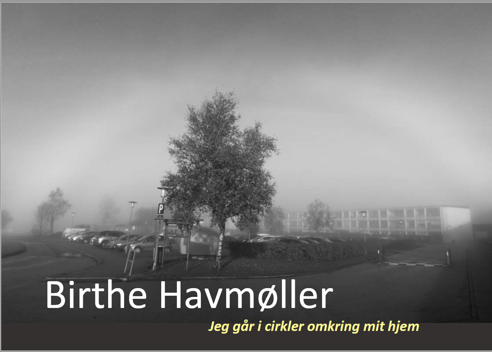 Book cover, copyright Birthe Havmøller