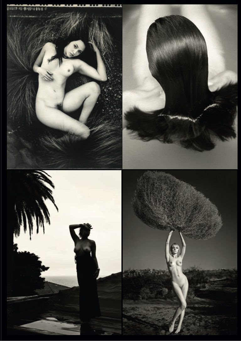 Copyright Renée Jacobs