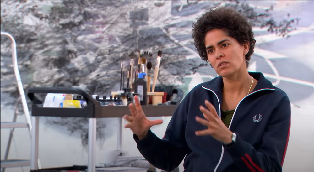 Art21, Season 5: Julie Mehretu (2009)