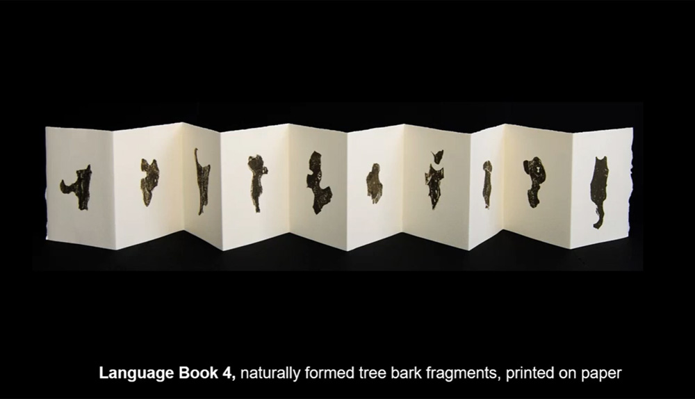 Pamela Dodds – Artist Talk, OCAD University, July 2020